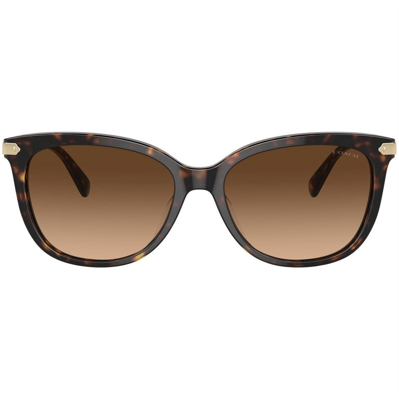 Coach Round Sunglasses