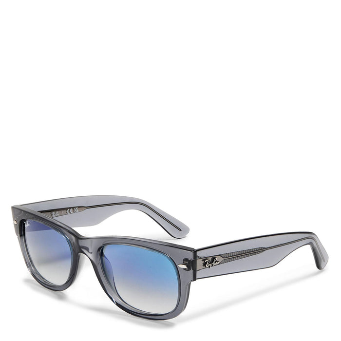 Ray-Ban Wayfarer Ii Sunglasses