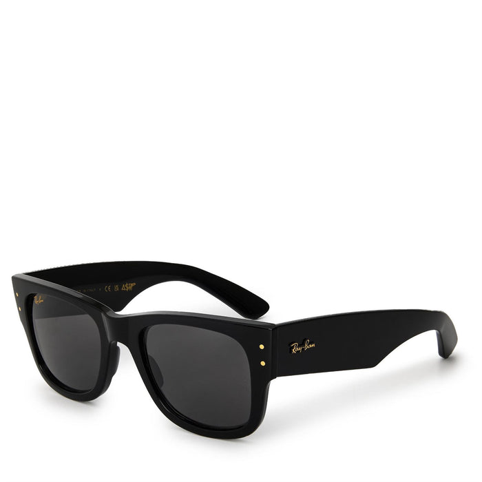 Ray-Ban Sunglasses