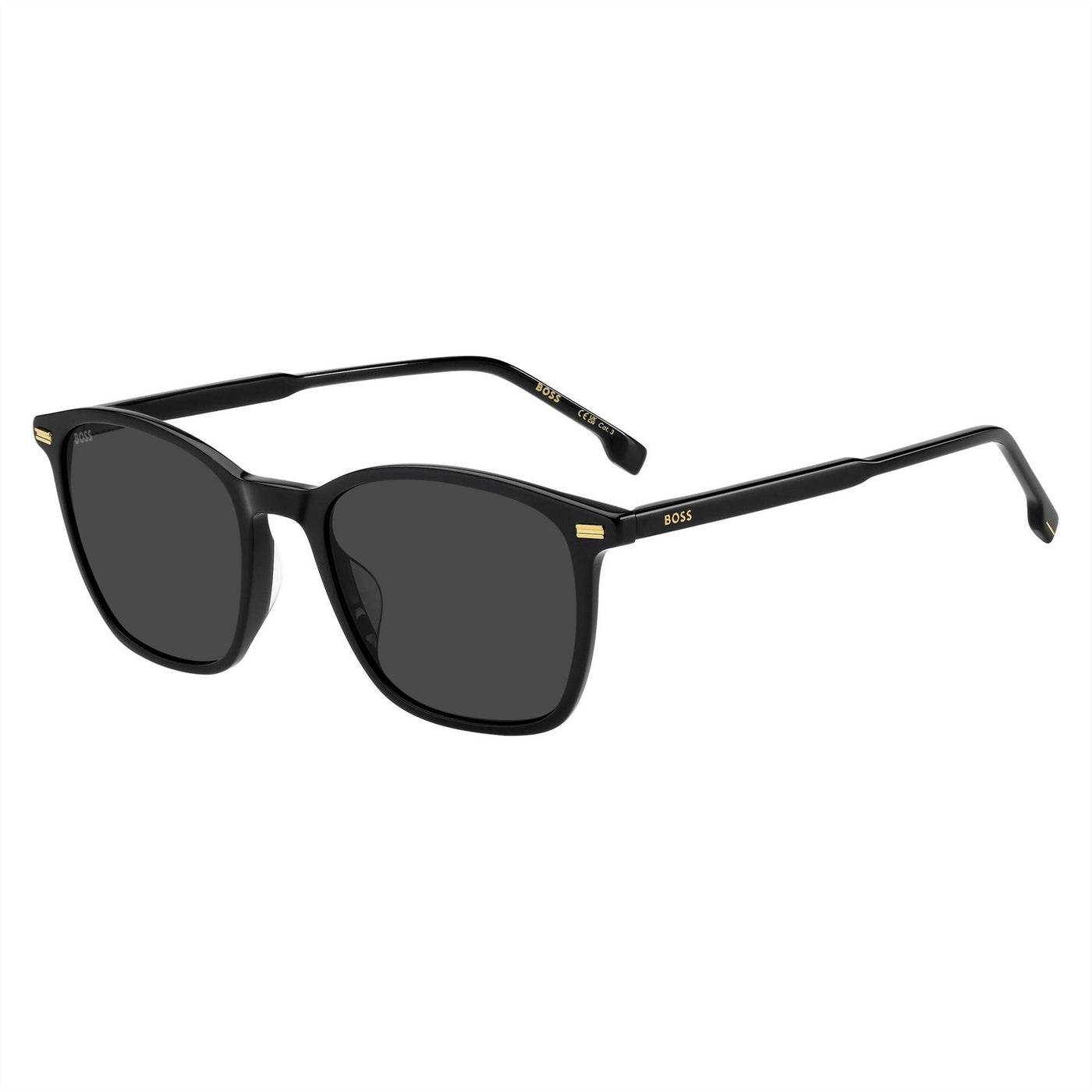 Boss Panthos Wayfarer Sunglasses