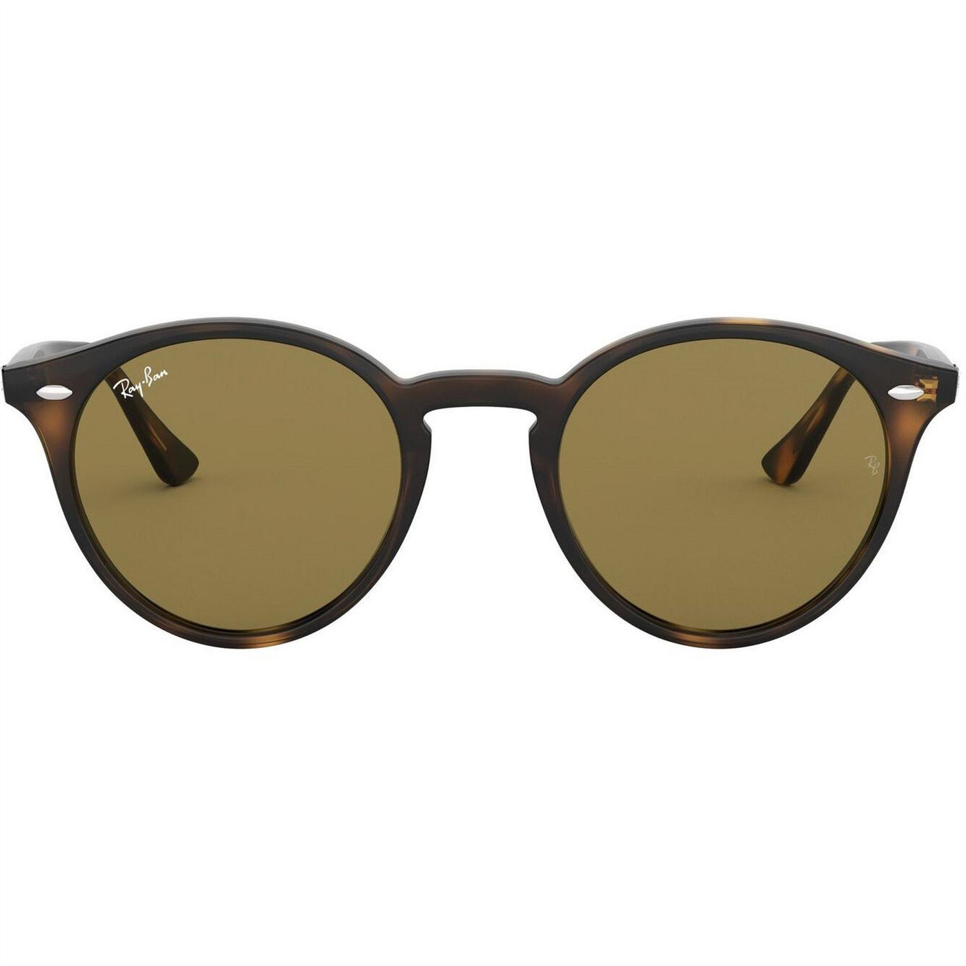 Ray-Ban Round Full Rim Round Sunglasses